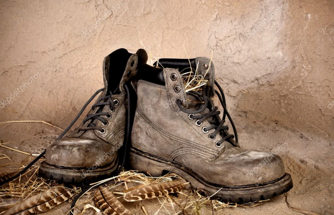 Warum Überhaupt Schuhe Pflegen?